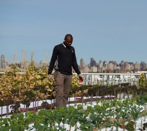 man stands in garden with New York skyline in background