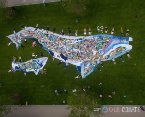 aerial view of whale art piece